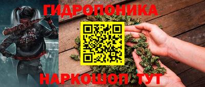 стафф Лесосибирск